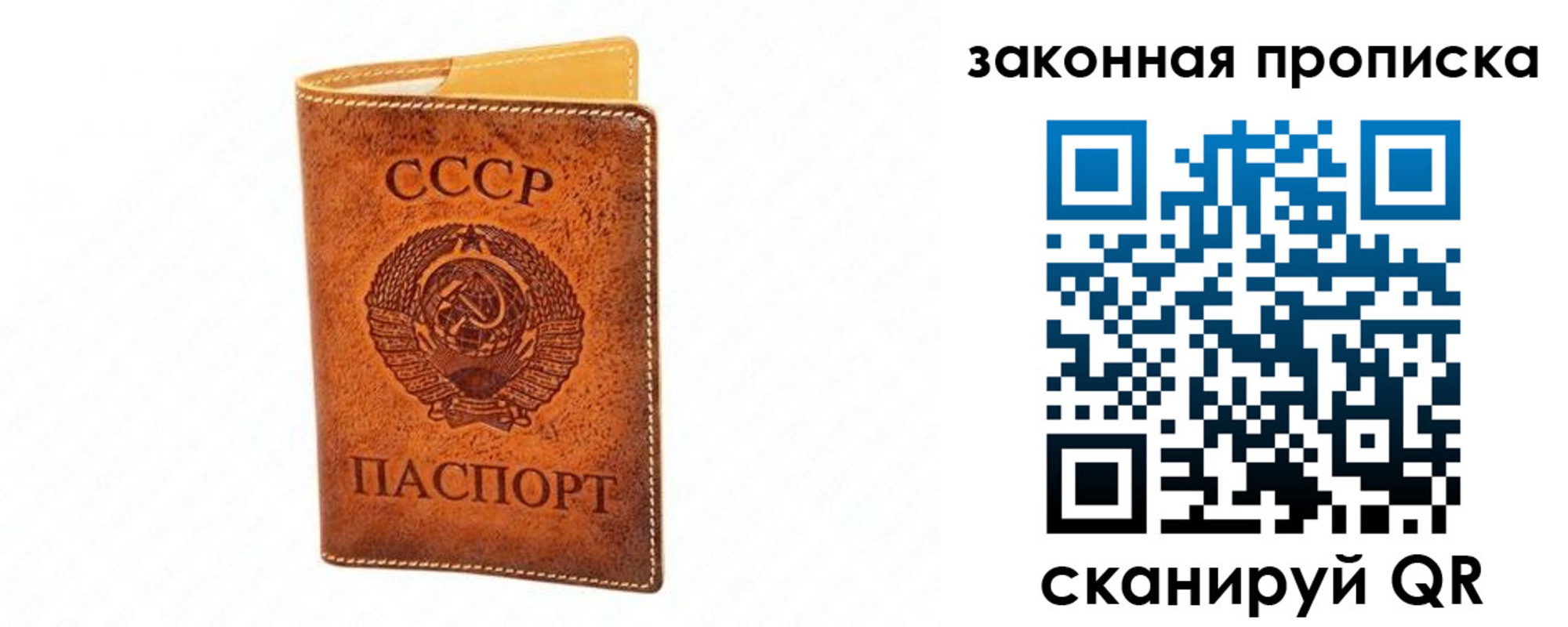 прописка в Петушках
